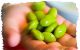 Fortune telling by beans: interpretation Fortune telling by beans in Arabic