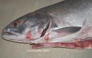 Različni recepti za roza lososa s korenčkom in čebulo: dušena, pečena