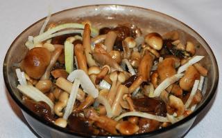 Pickled porcini mushrooms: a simple recipe without sterilization