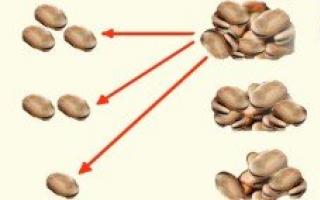 Věštění na fazolích „41 fazolí“ Významy věštění na fazolích ve společných bytech