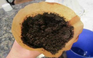 Скраб от утайка от кафе у дома Спящо кафе като тор за растения и репелент срещу насекоми